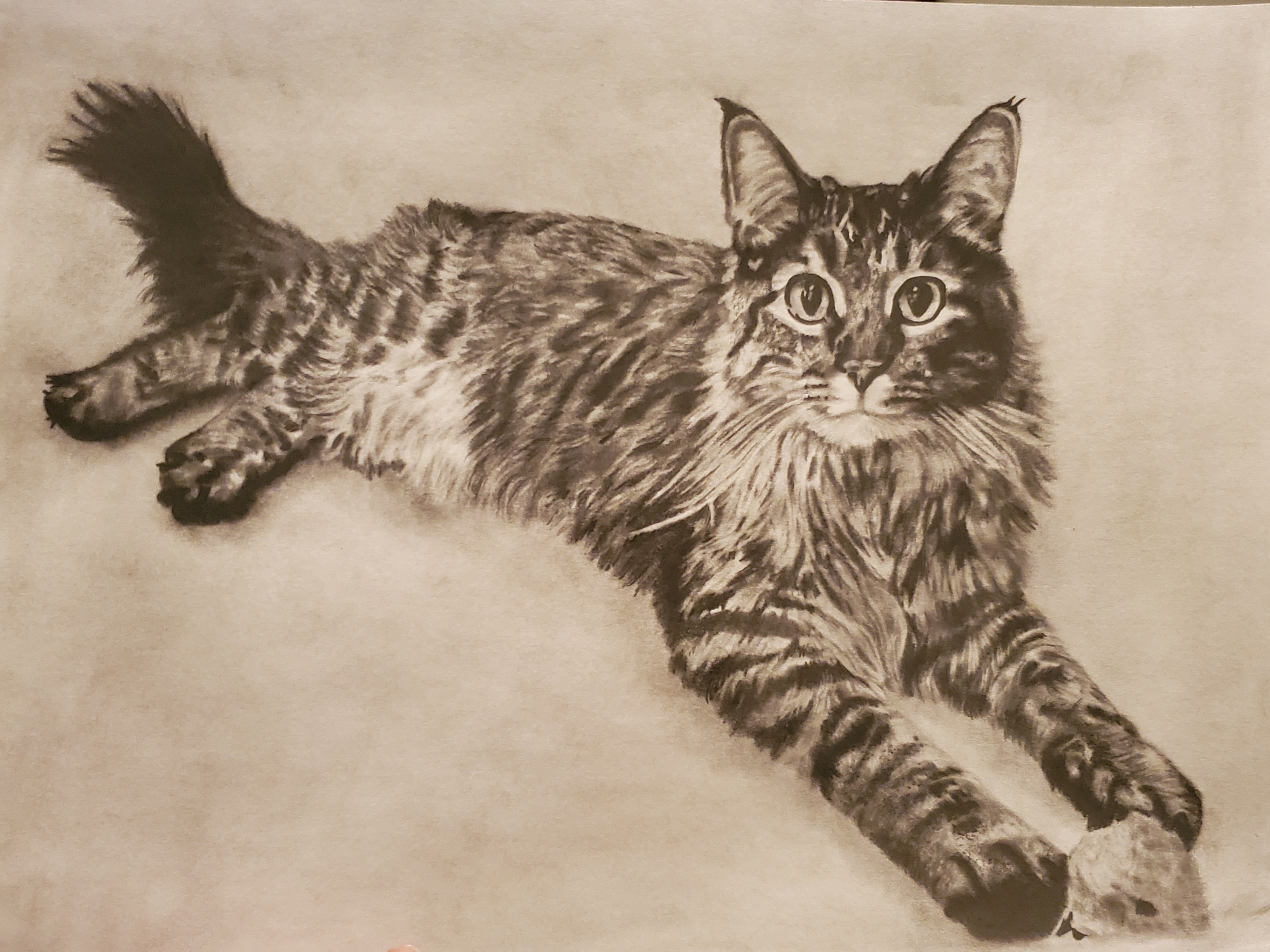Graphite Portrait Example